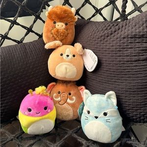 Squishmallows bundle of 5 5" all new with tags